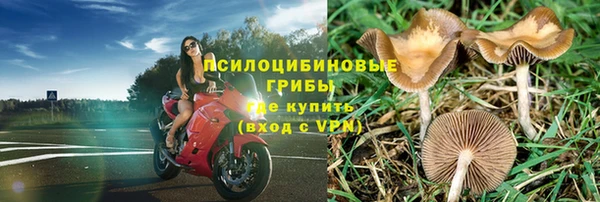 молекула духа Баксан