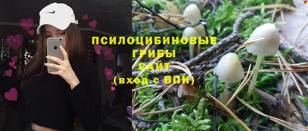 mdpv Саяногорск