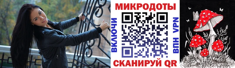 закладка  Навашино  Галлюциногенные грибы Cubensis 
